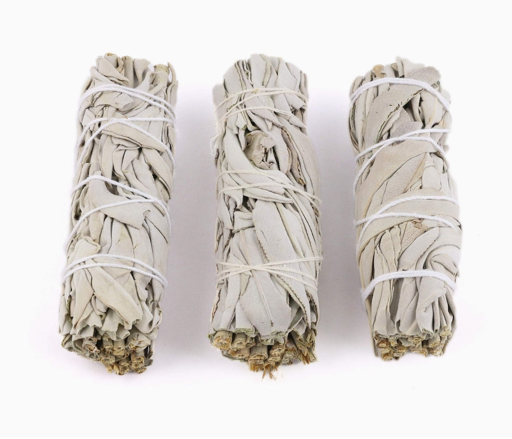 Sage | Cleansing, Respiratory & Hormonal Balance Support