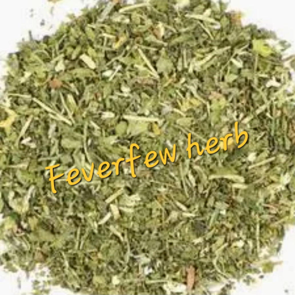 Feverfew | Migraine & Inflammation Support