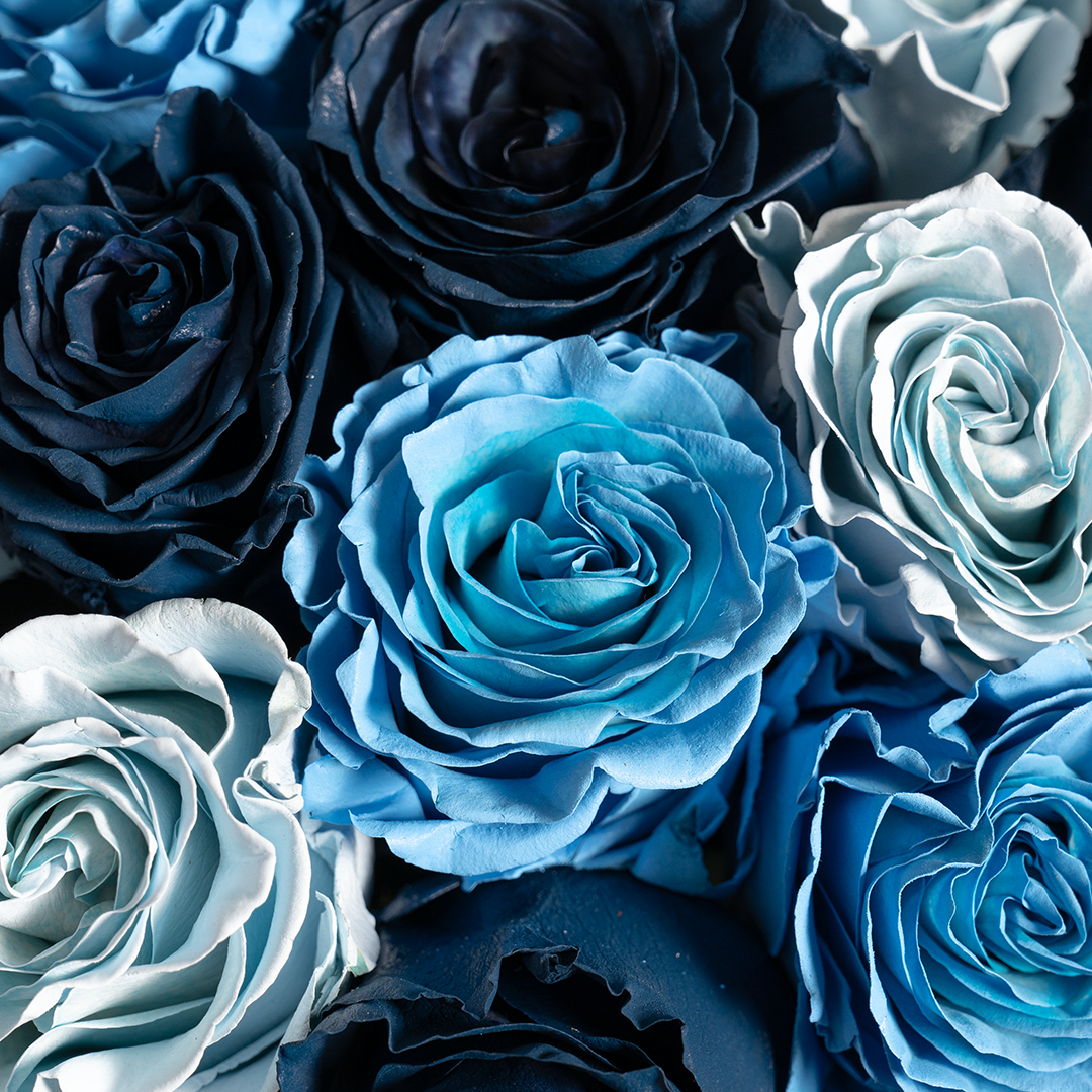 SHADES OF BLUE
