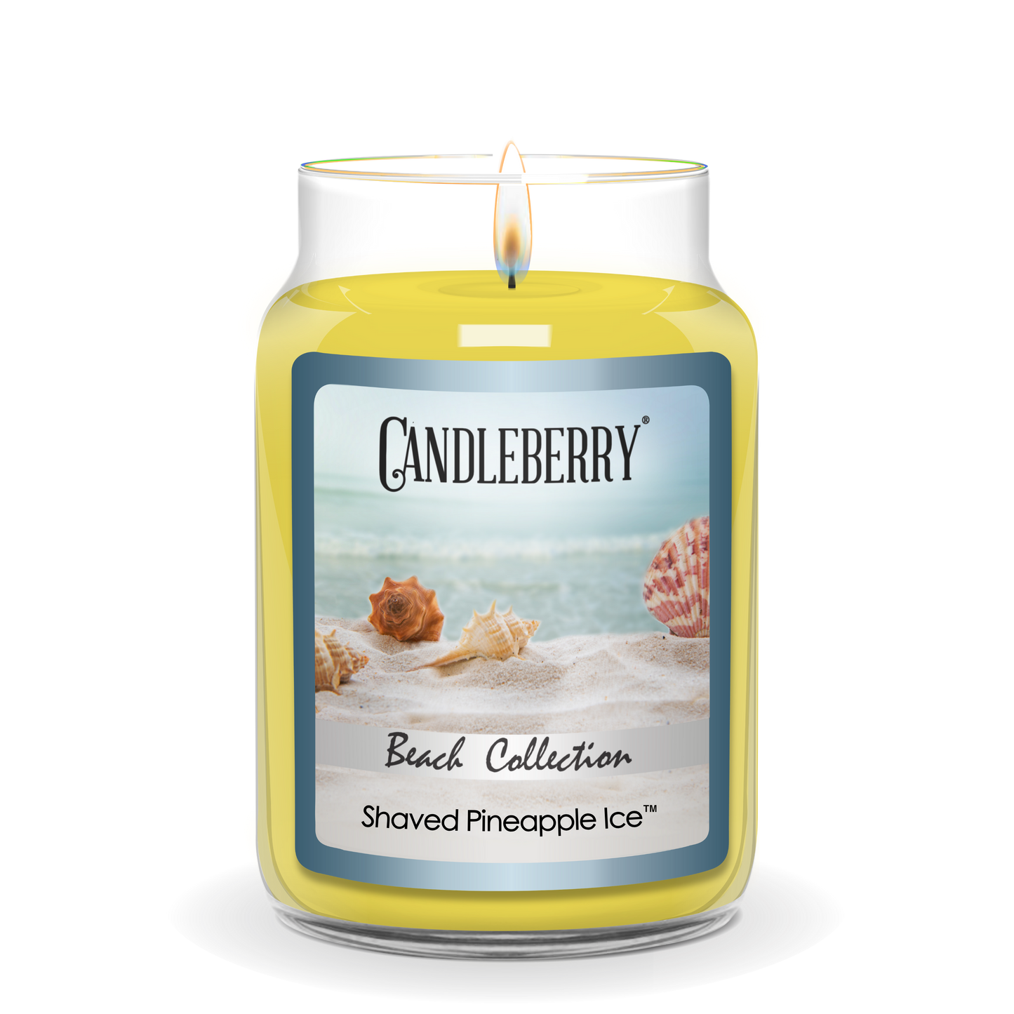Beach Collection - Shaved Pineapple Ice™, Large Jar Candle (Collective) - Concordia Style Boutique