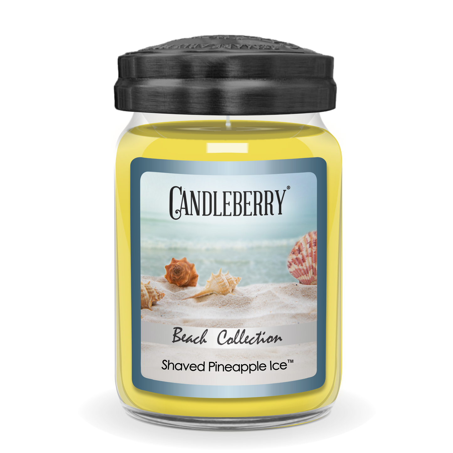 Beach Collection - Shaved Pineapple Ice™, Large Jar Candle (Collective) - Concordia Style Boutique