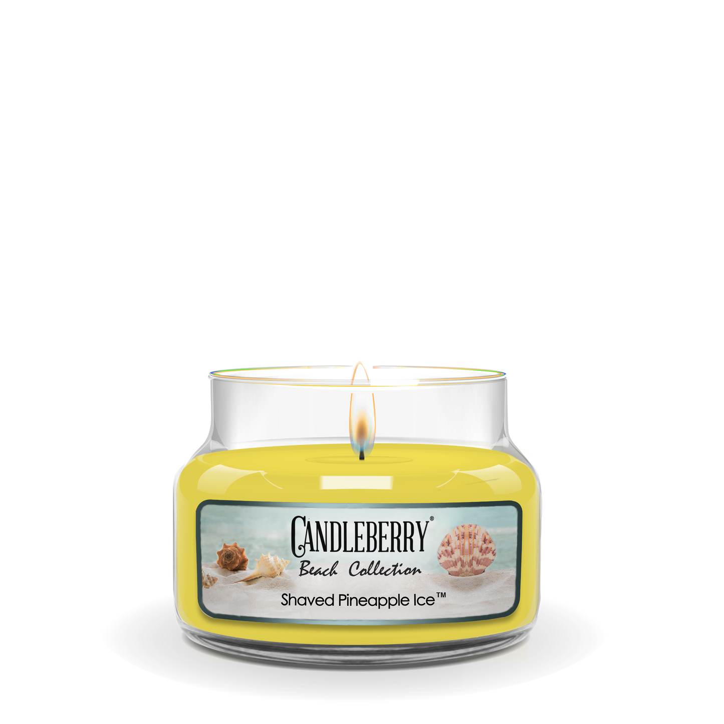 Beach Collection - Shaved Pineapple Ice™, Small Jar Candle (Collective) - Concordia Style Boutique