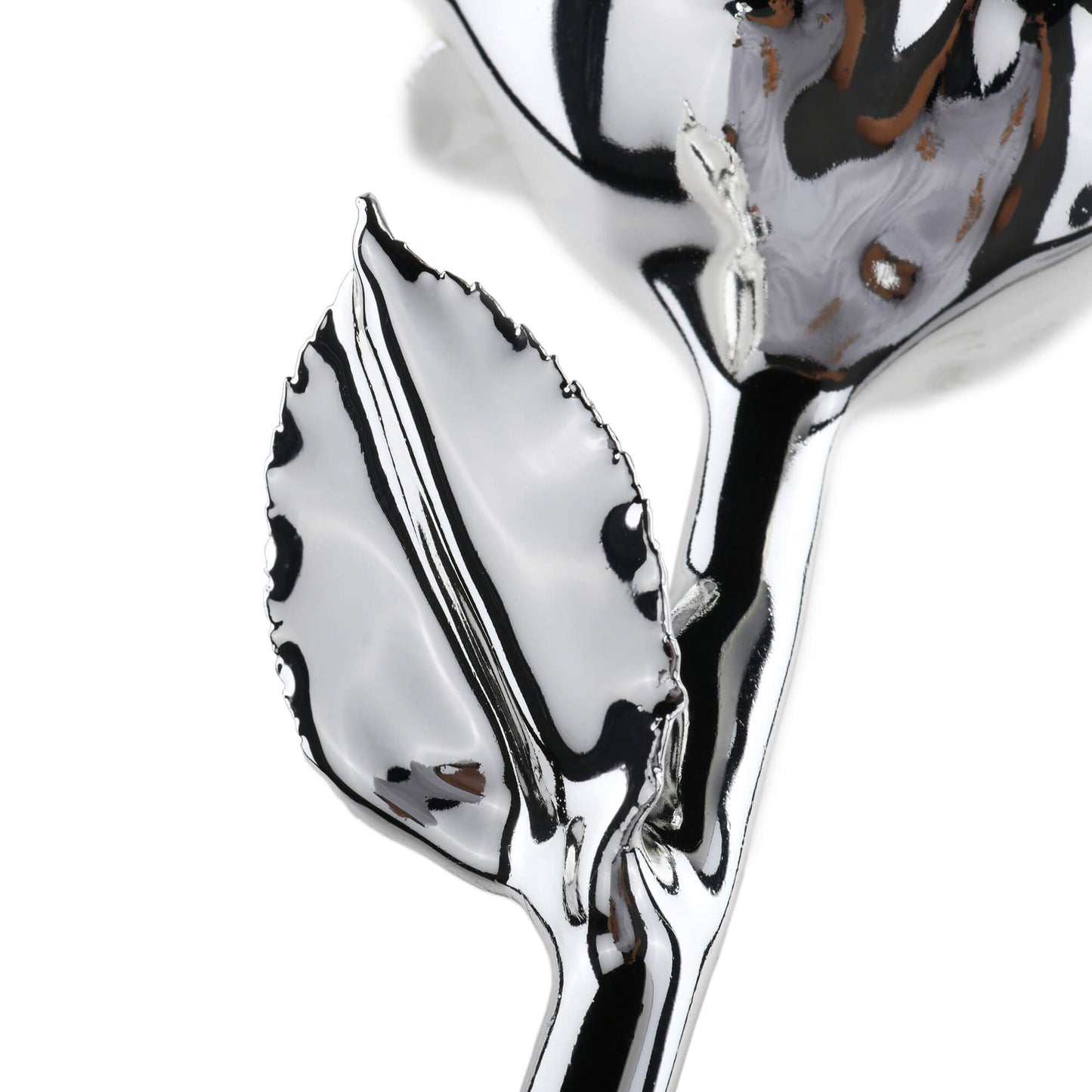 Timeless Rose (Silver) - Concordia Style Boutique