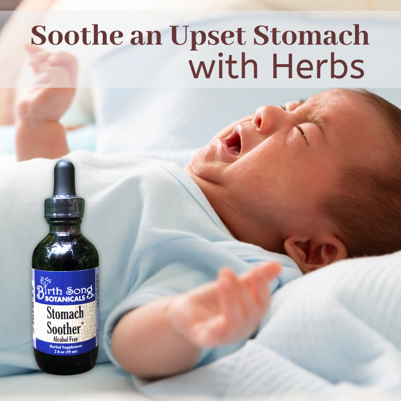 Stomach Soother Herbal Colic Drops for Babies - Concordia Style Boutique