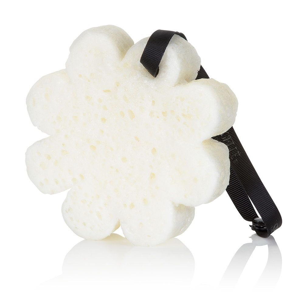 Black Orchid | Boxed Flower - Concordia Style Boutique