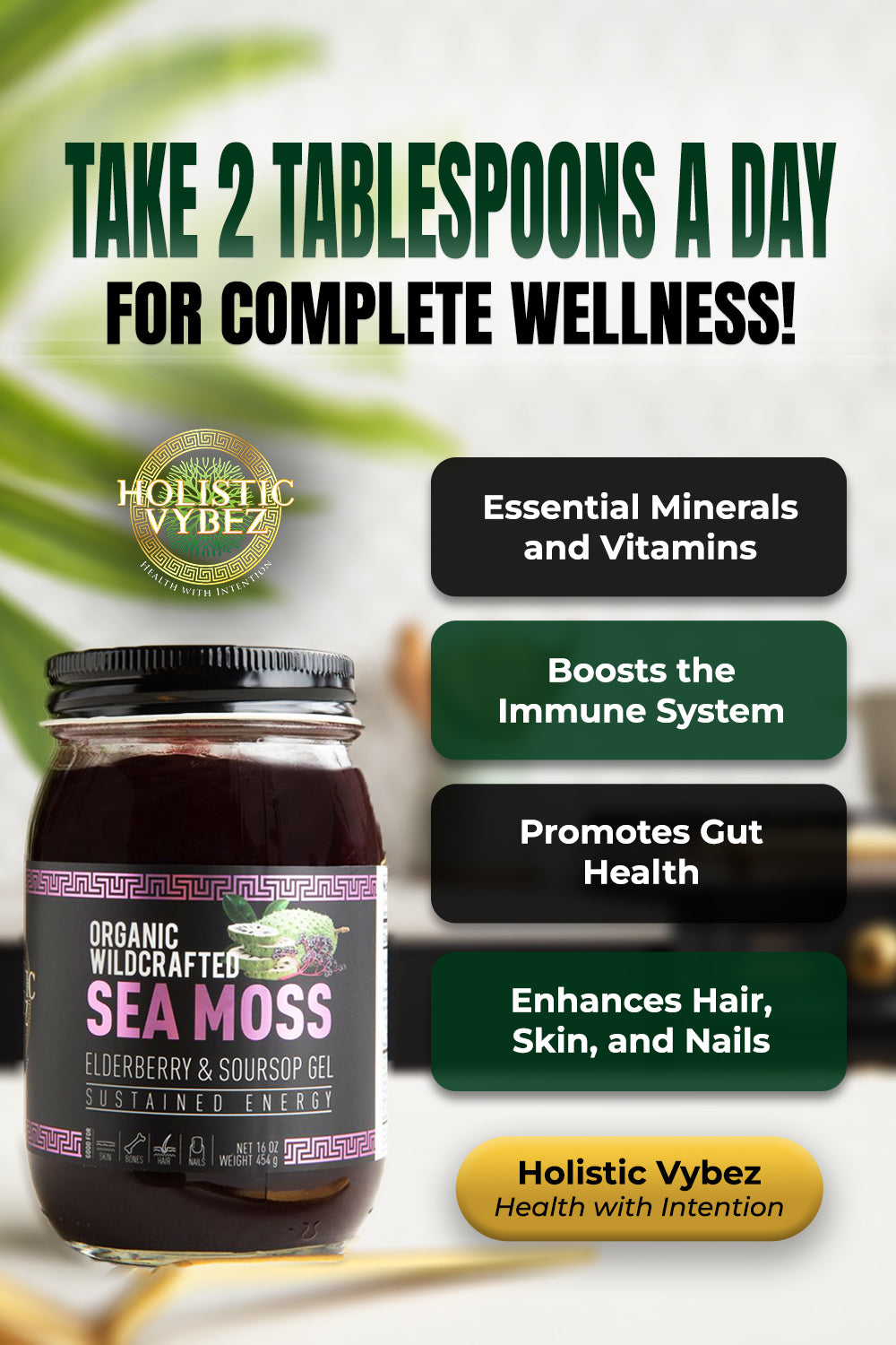 Elderberry and Soursop Infused Sea Moss Gel