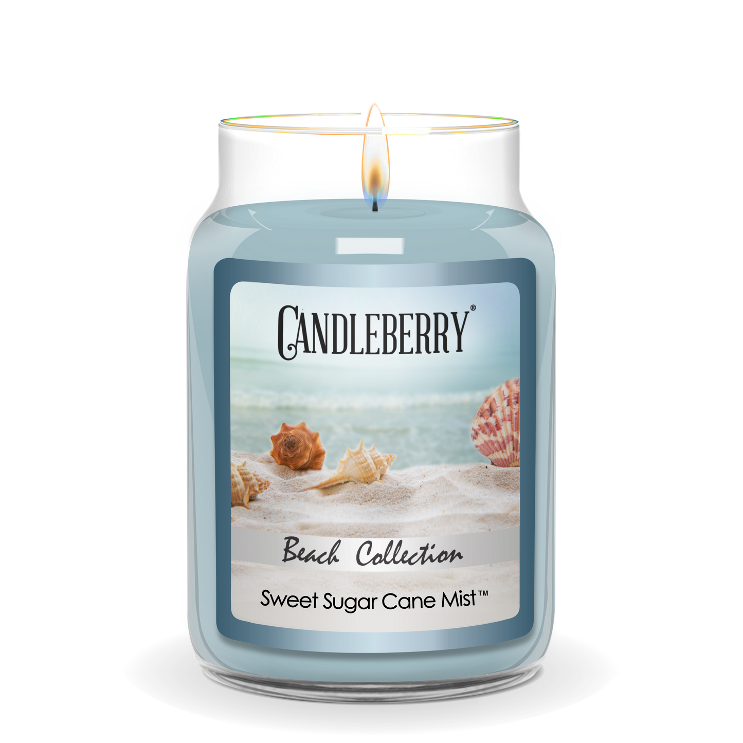 Beach Collection - Sweet Sugar Cane Mist™, Large Jar Candle (Collective) - Concordia Style Boutique