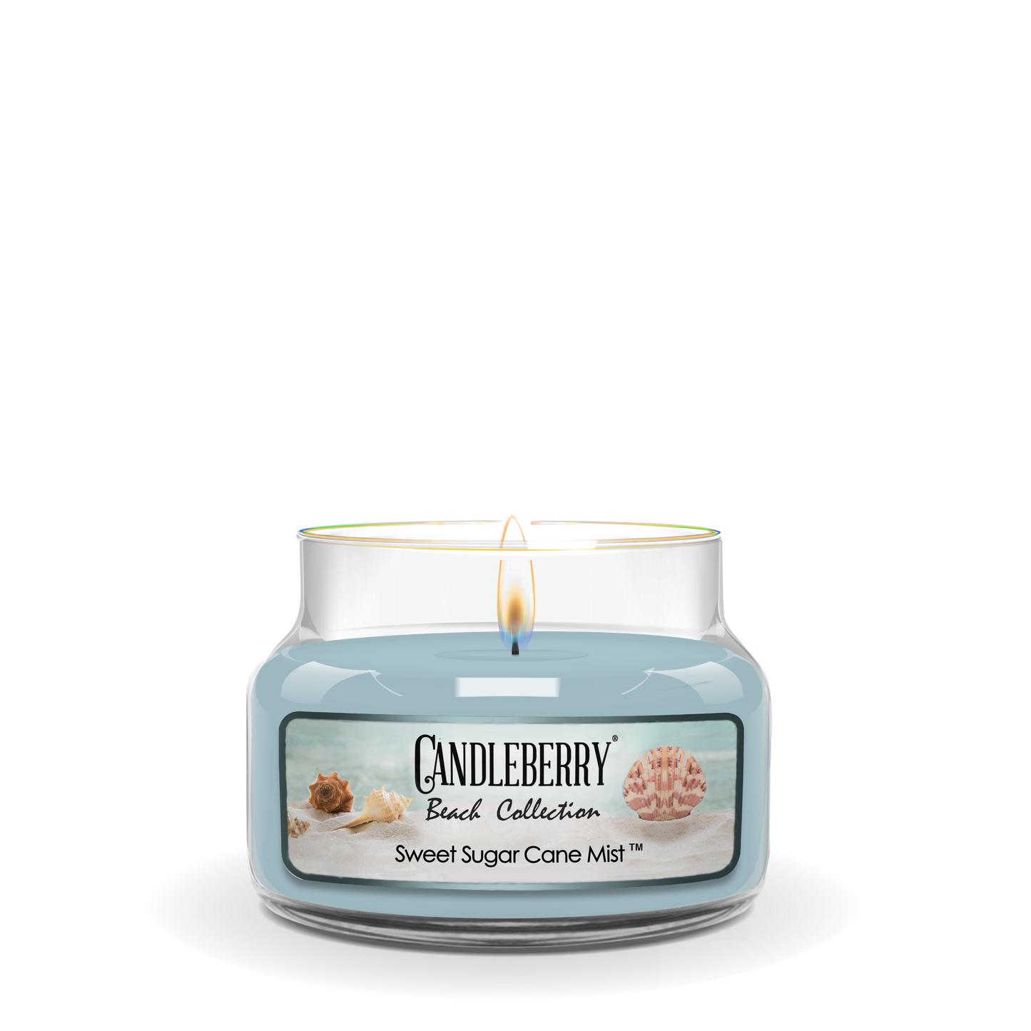 Beach Collection - Sweet Sugar Cane Mist™, Small Jar Candle (Collective) - Concordia Style Boutique