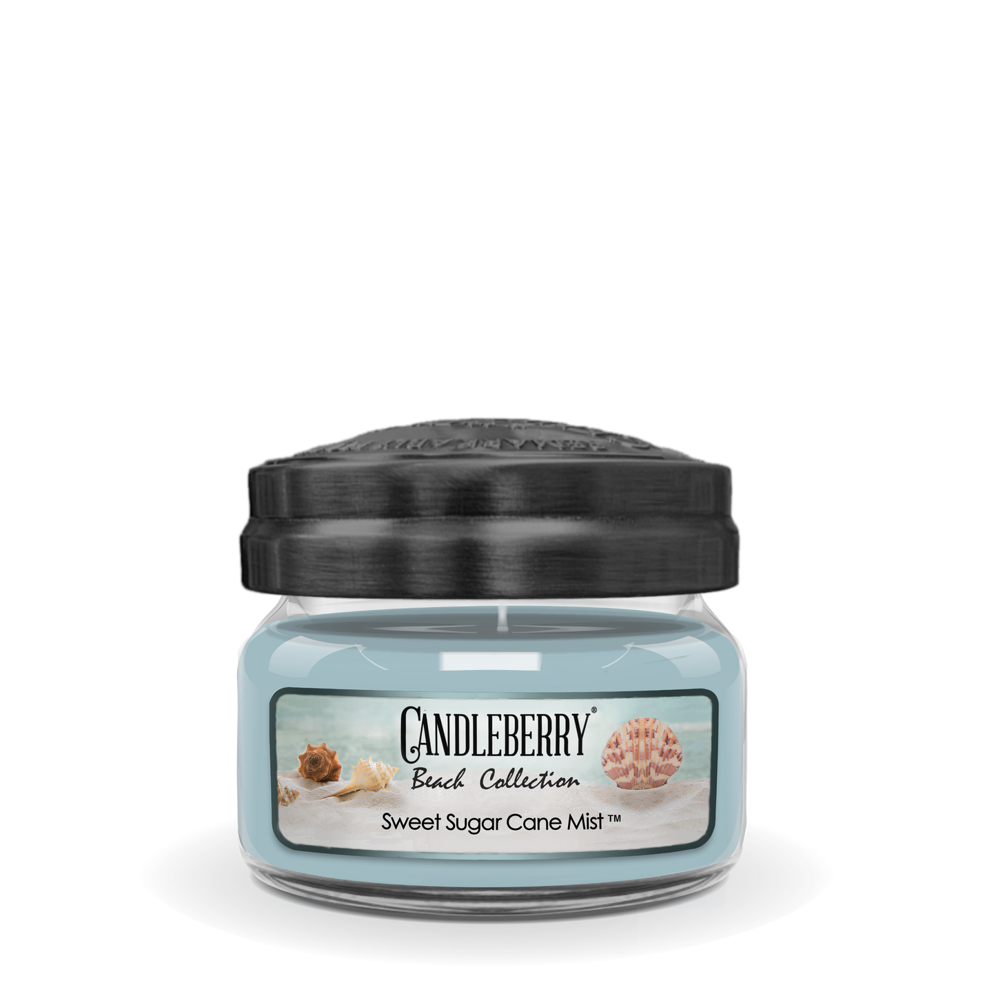 Beach Collection - Sweet Sugar Cane Mist™, Small Jar Candle (Collective) - Concordia Style Boutique