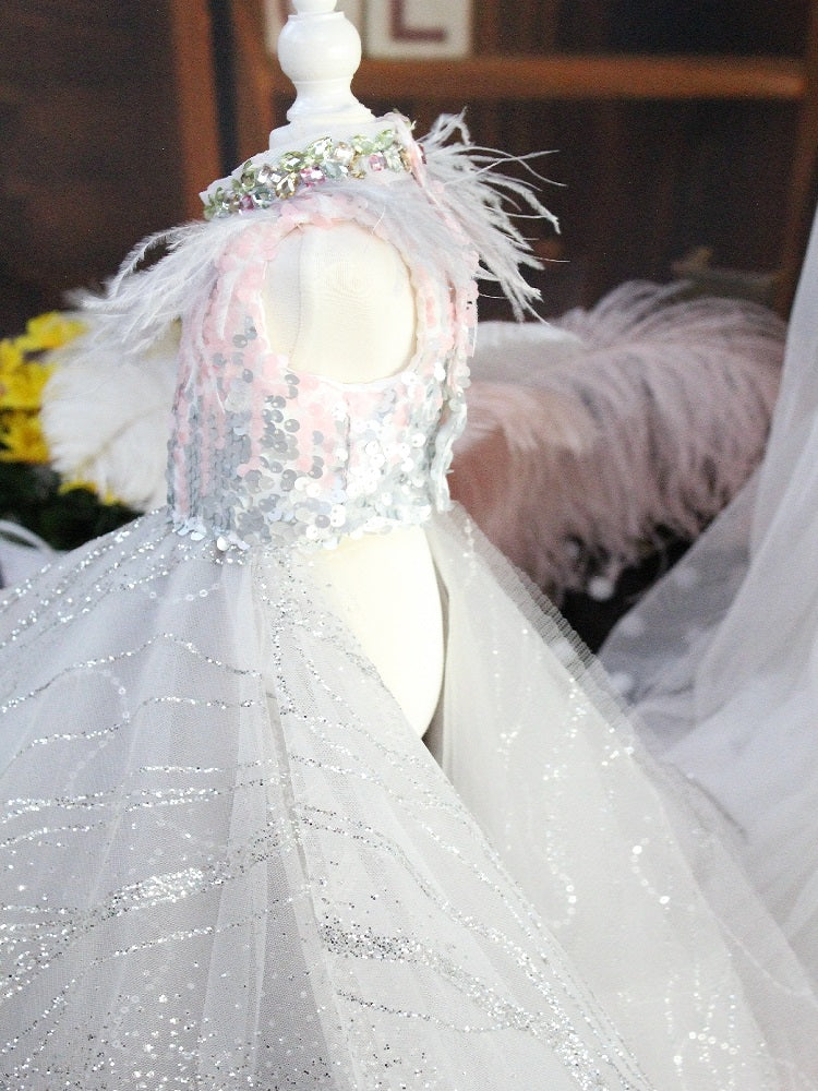 Dog Sequin Princess Queen Gown