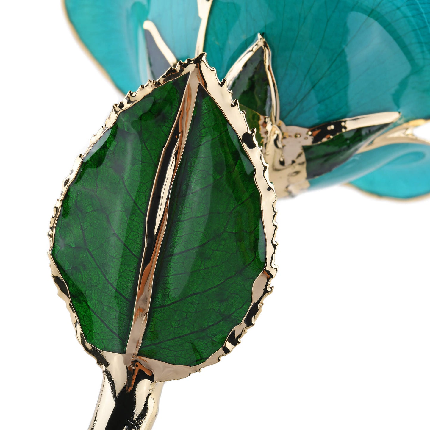 Timeless Rose (Teal) - Concordia Style Boutique