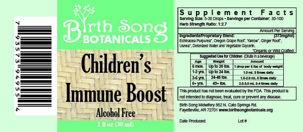 Children's Immune Booster Tincture* with Organic Echinacea 1 oz. - Concordia Style Boutique