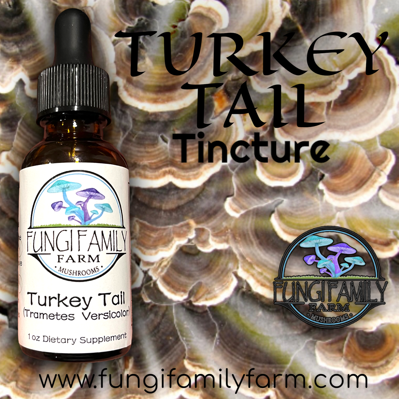 Turkey Tail Mushroom Tincture