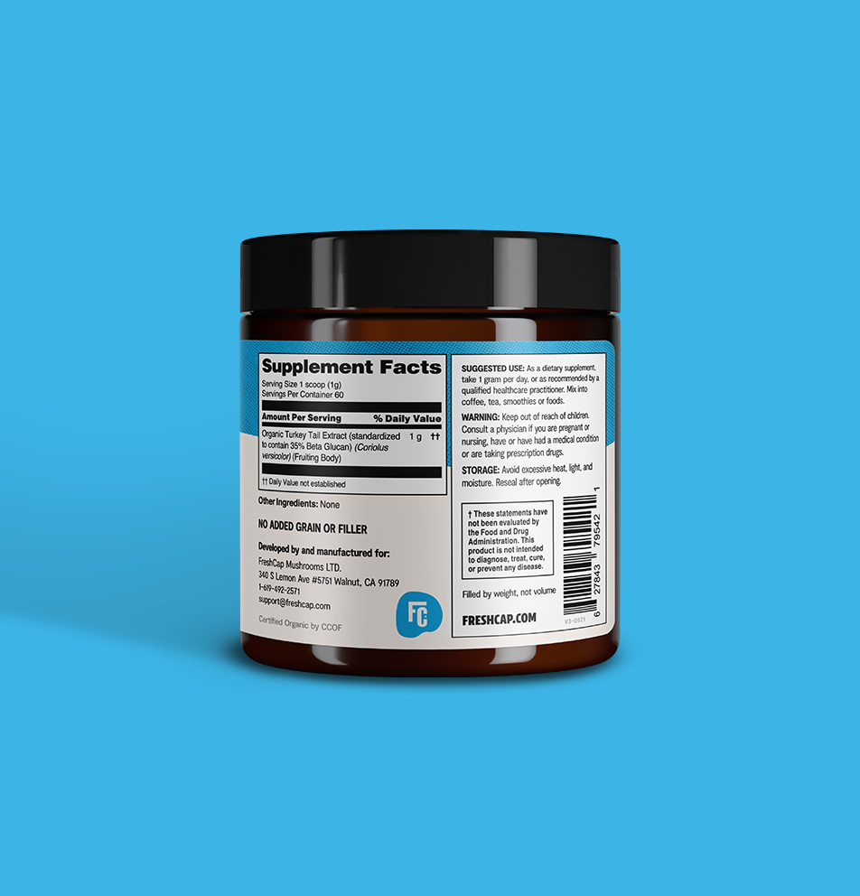 Turkey Tail Mushroom Extract Powder - Concordia Style Boutique