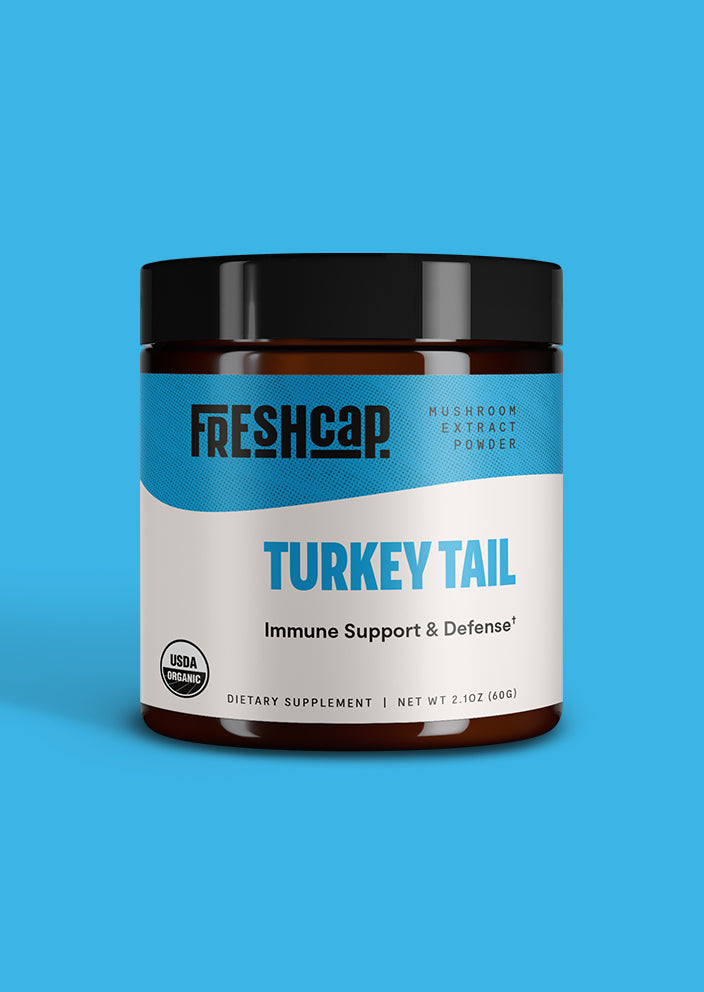 Turkey Tail Mushroom Extract Powder - Concordia Style Boutique