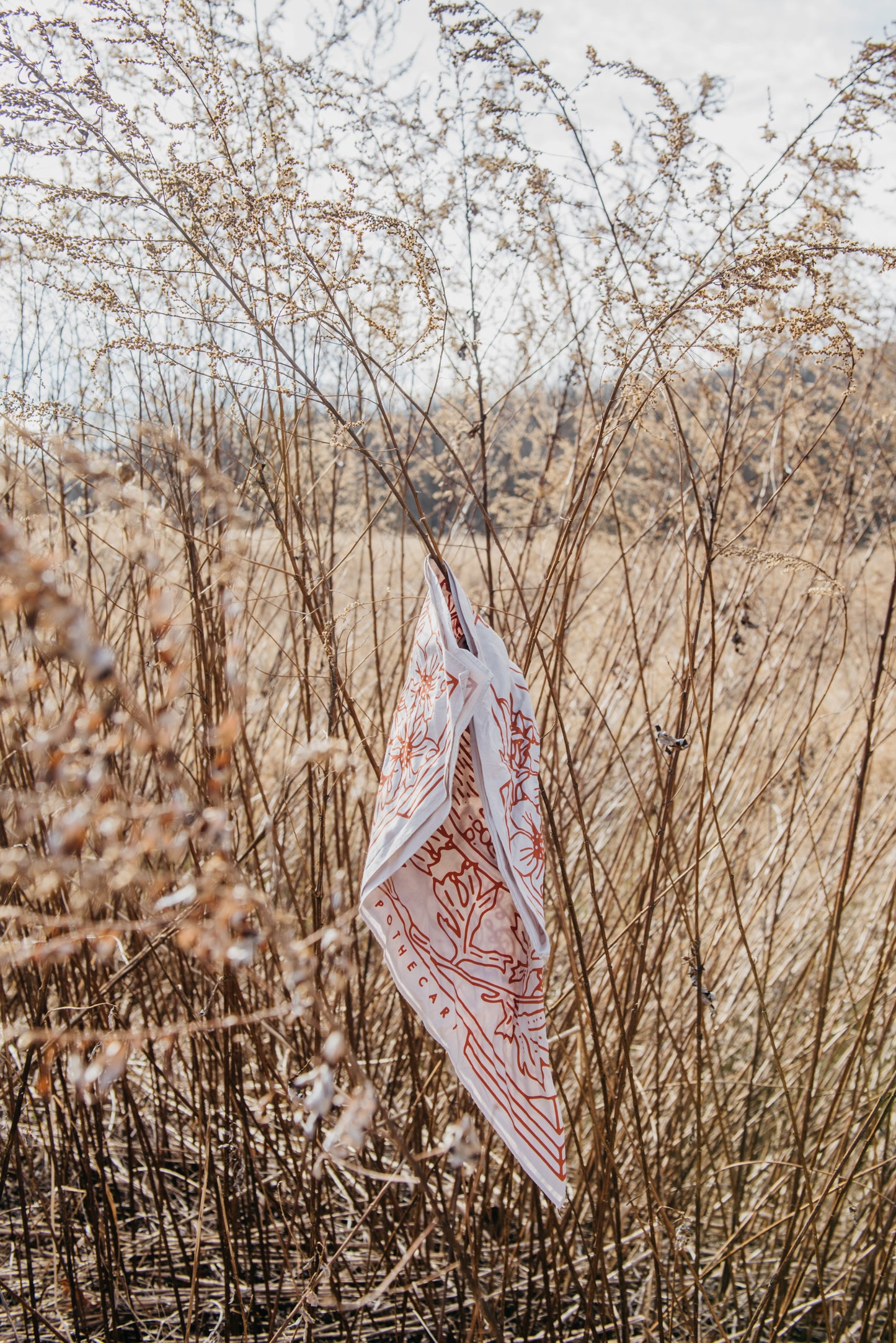 Yuba Bandana - Concordia Style Boutique