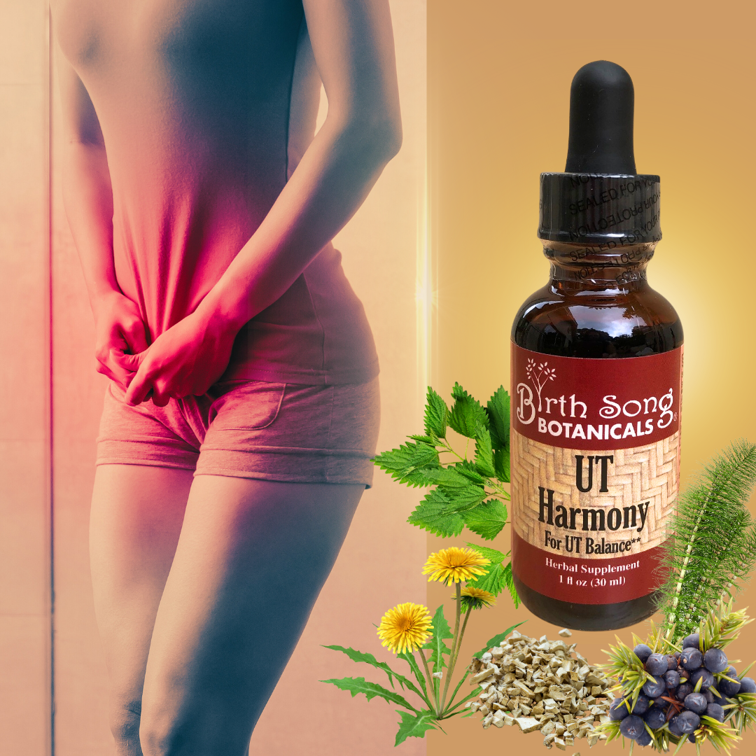 UT Harmony Herbal Tincture, Liquid Supplement for Women, Supports Urinary Tract and Bladder Health*, Supports healthy PH & Urinary Strength* 1 oz. - Concordia Style Boutique