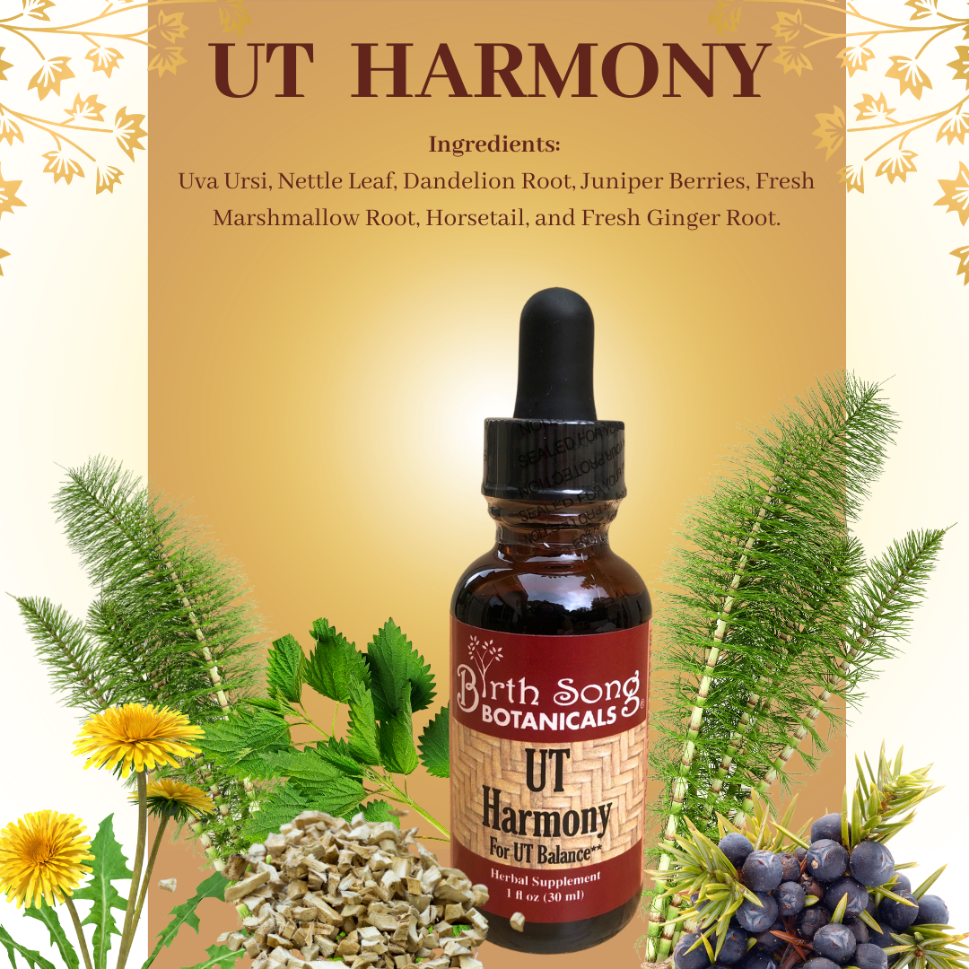 UT Harmony Herbal Tincture, Liquid Supplement for Women, Supports Urinary Tract and Bladder Health*, Supports healthy PH & Urinary Strength* 1 oz. - Concordia Style Boutique