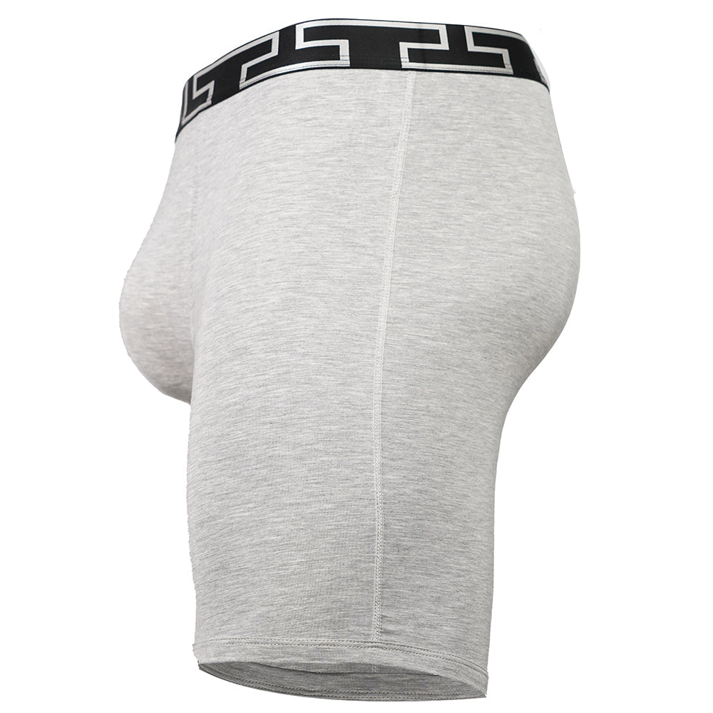 SHEATH V Bamboo Titan Men's 8" Sports Performance Boxer Brief - Premium Underwear from SHEATH UNDERWEAR - Just $33.15! Shop now at Concordia Style Boutique