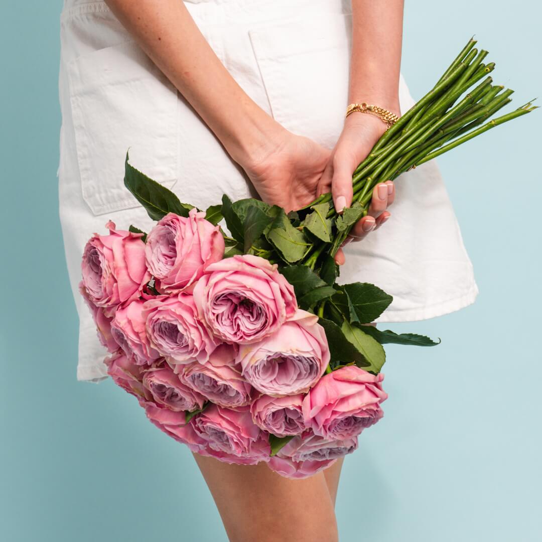 VINTAGE PEONY