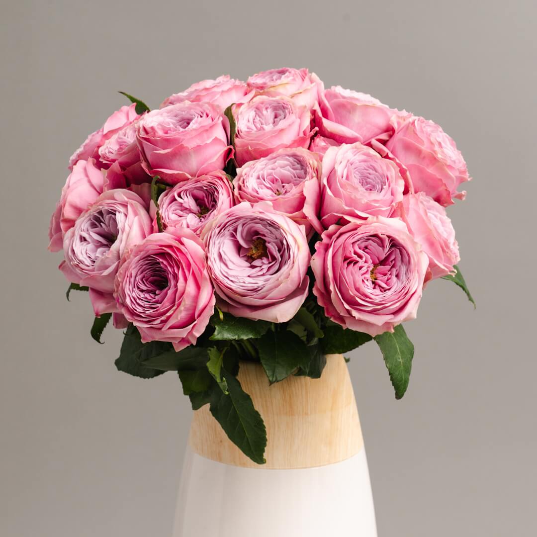 VINTAGE PEONY
