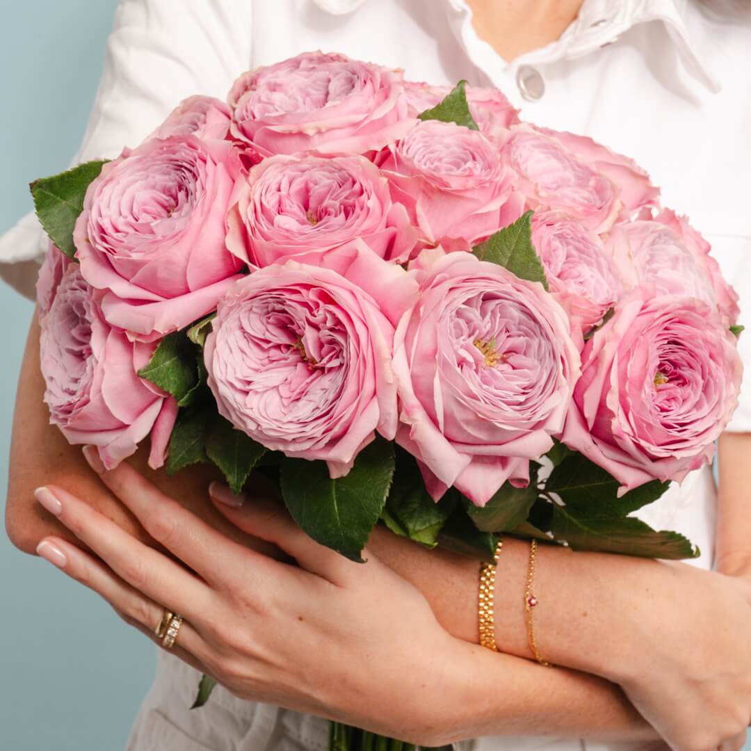 VINTAGE PEONY