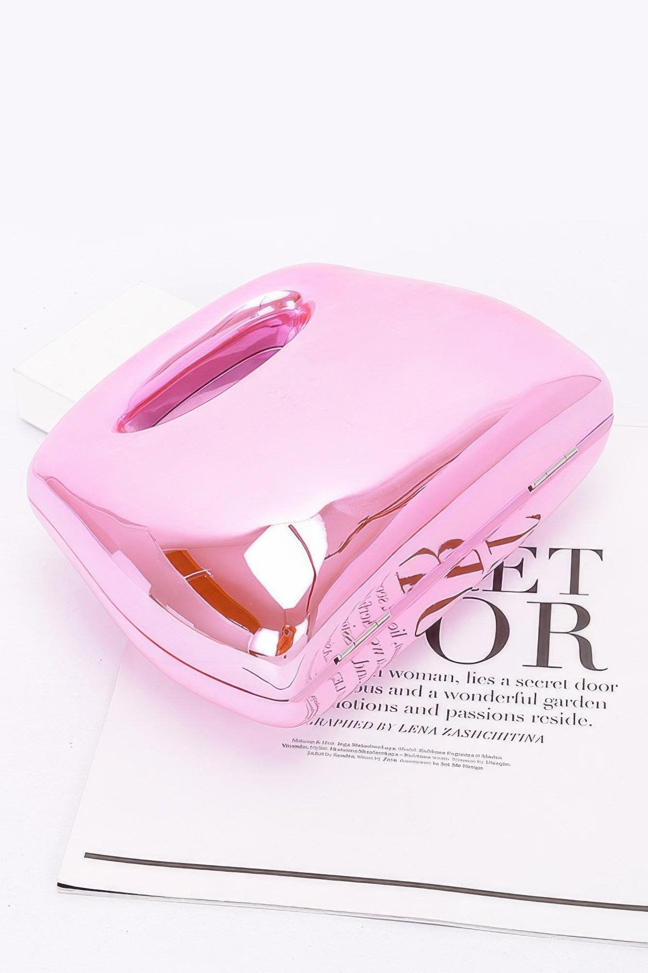 Acrylic Case Bag - Concordia Style Boutique