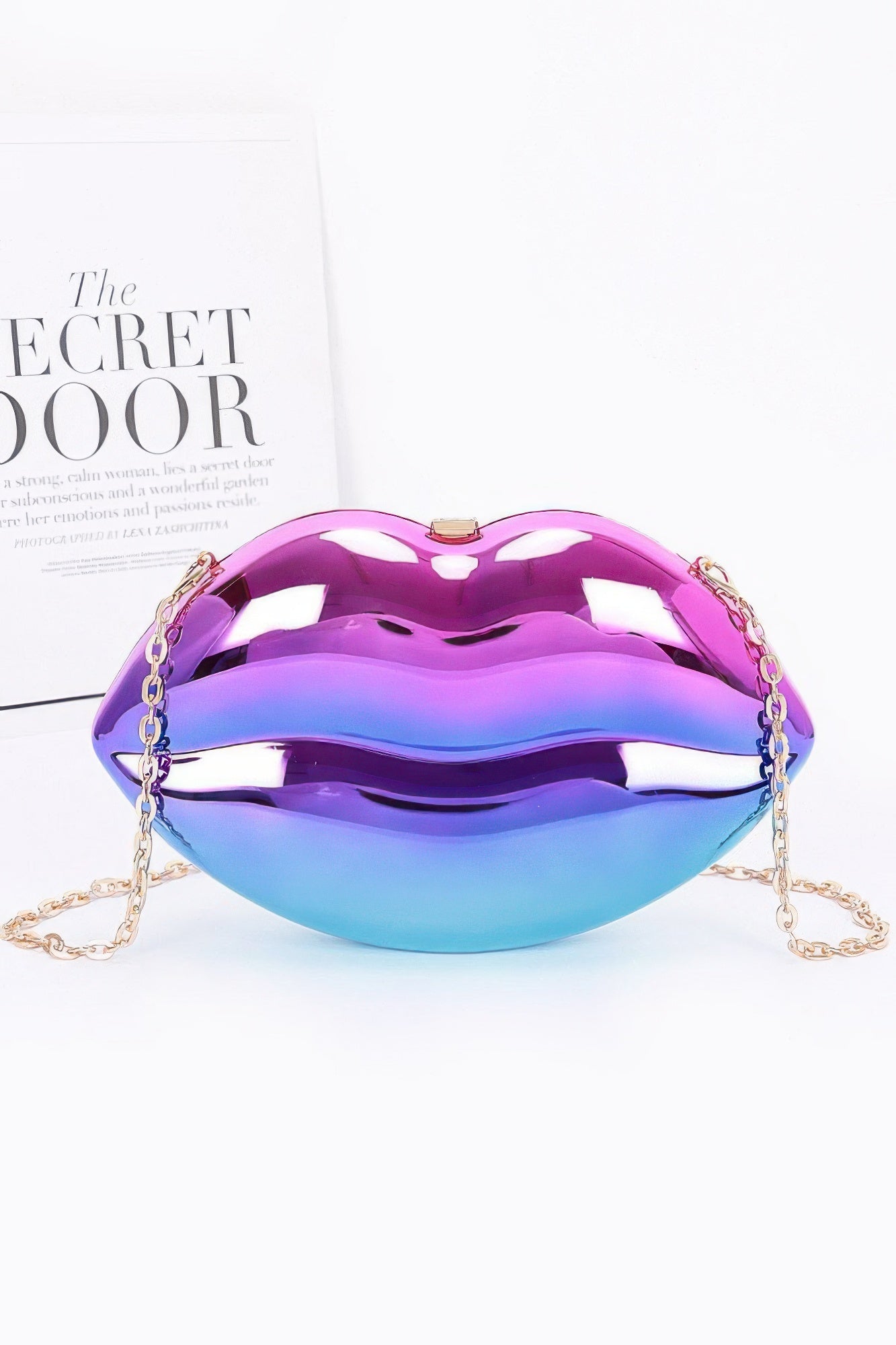 Acrylic Case Bag - Concordia Style Boutique