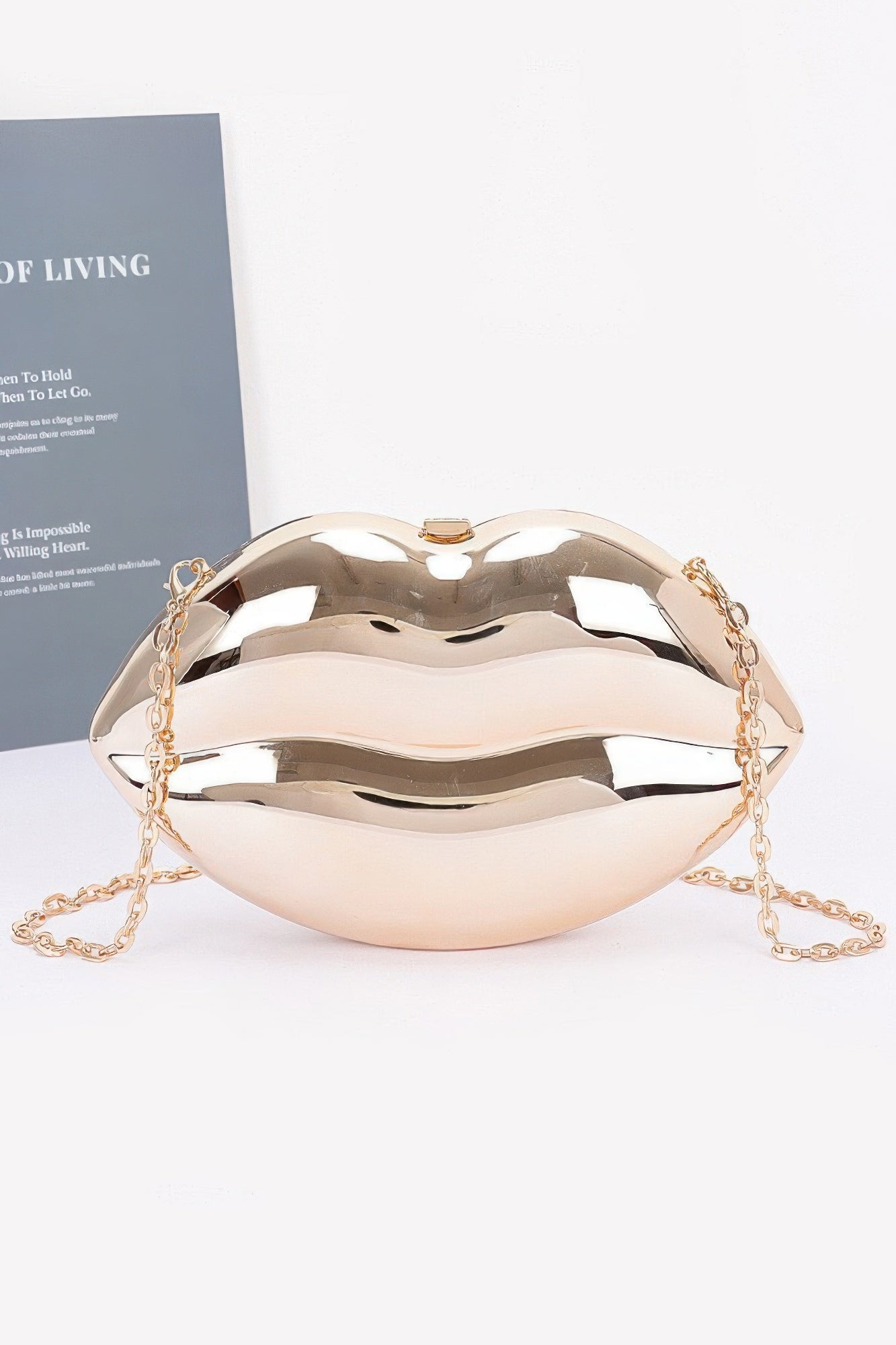 Acrylic Case Bag - Concordia Style Boutique