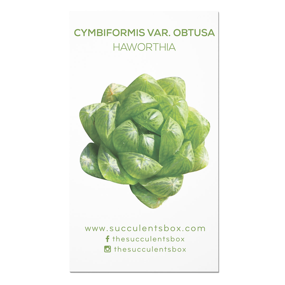 Agave/ Aloe/ Gasteria and Haworthia Succulent ID Cards