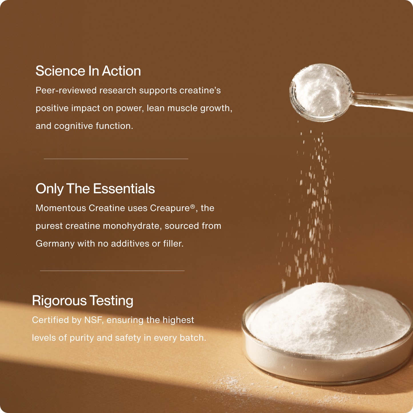 Creatine - Concordia Style Boutique
