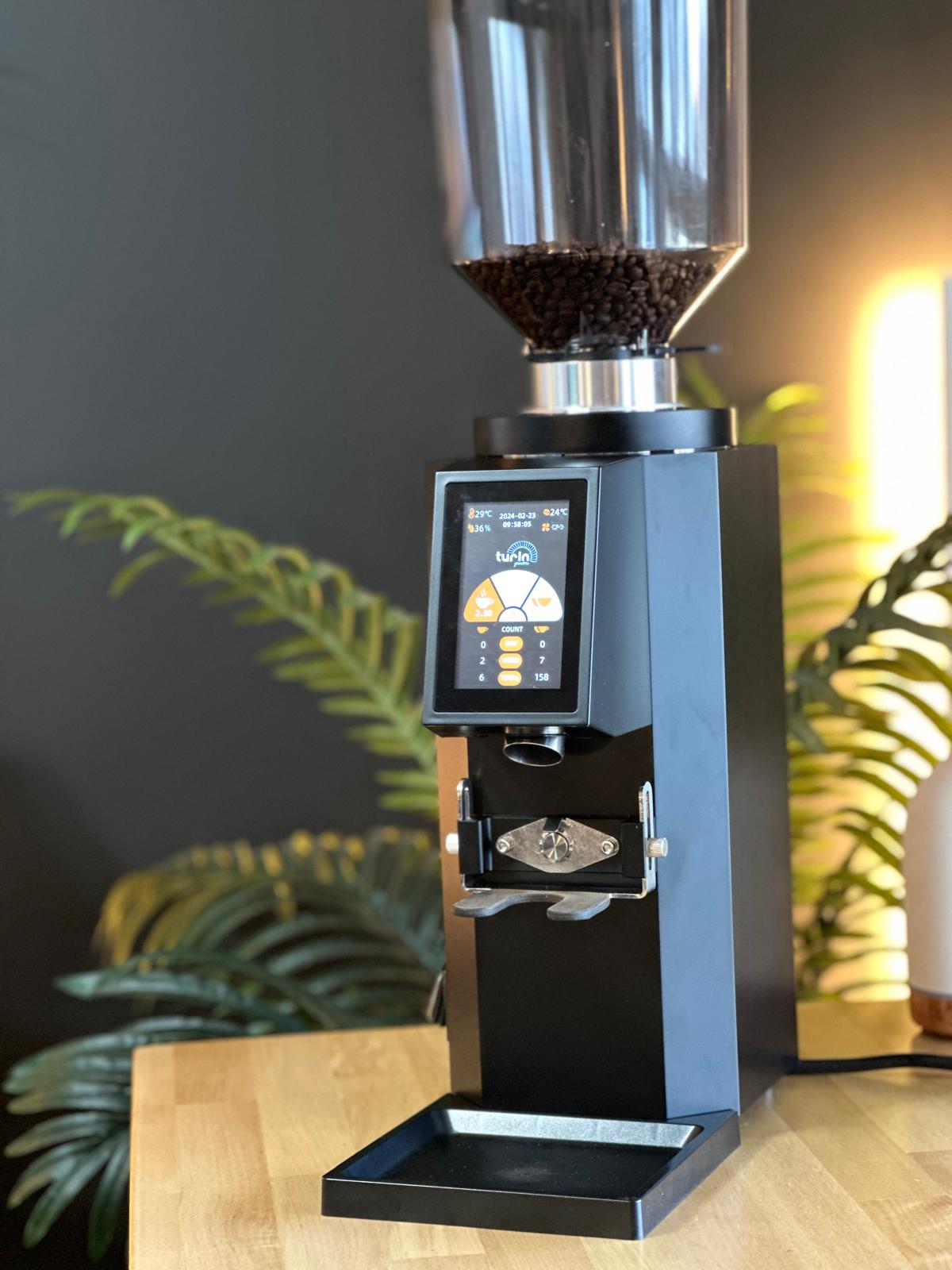 Turin ZF83 Commercial Espresso Grinder - Concordia Style Boutique