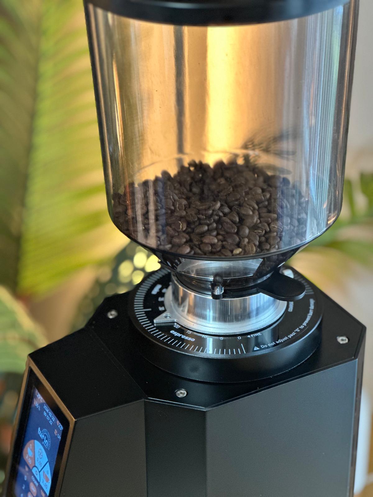 Turin ZF83 Commercial Espresso Grinder - Concordia Style Boutique