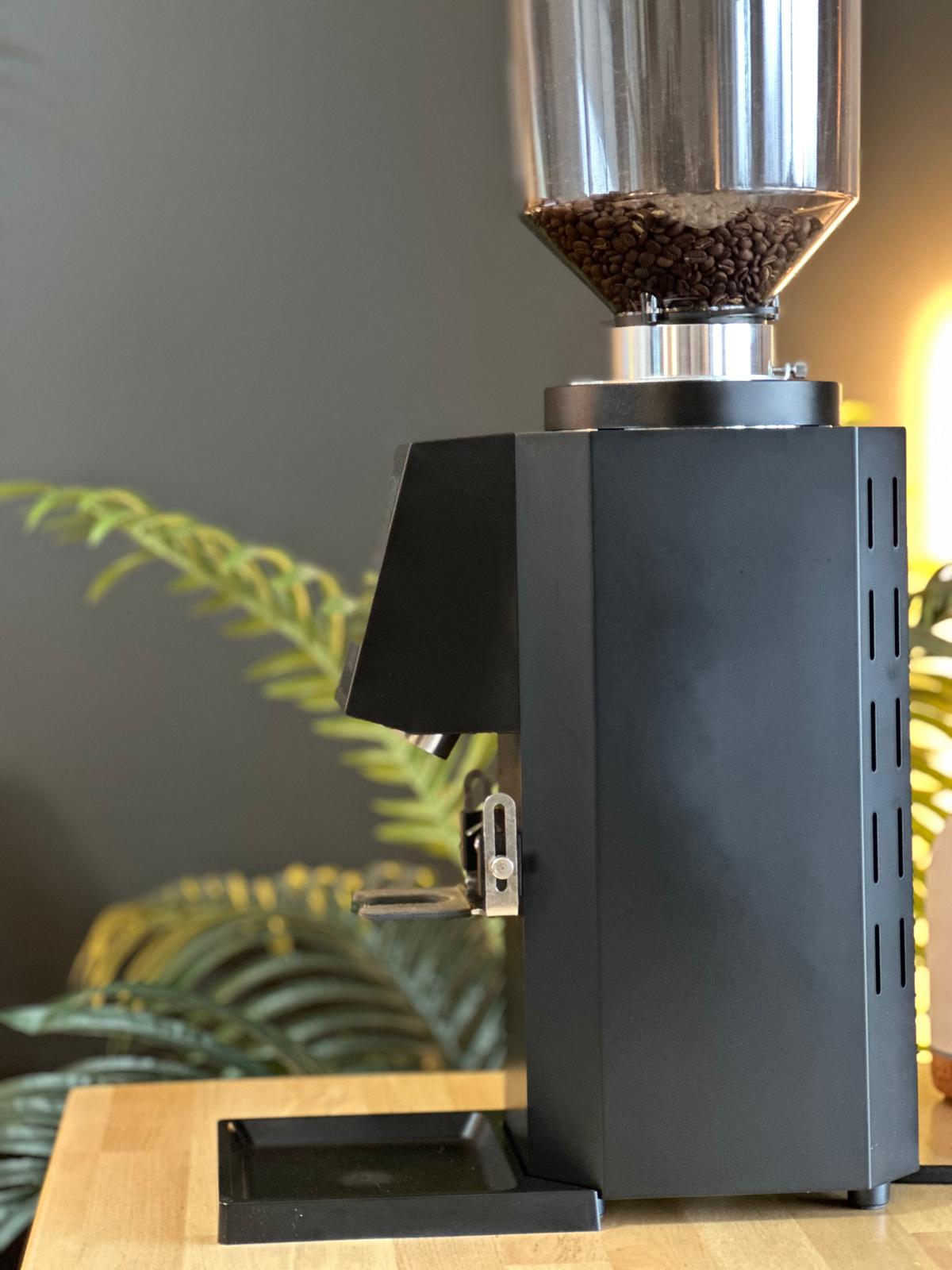 Turin ZF83 Commercial Espresso Grinder - Concordia Style Boutique
