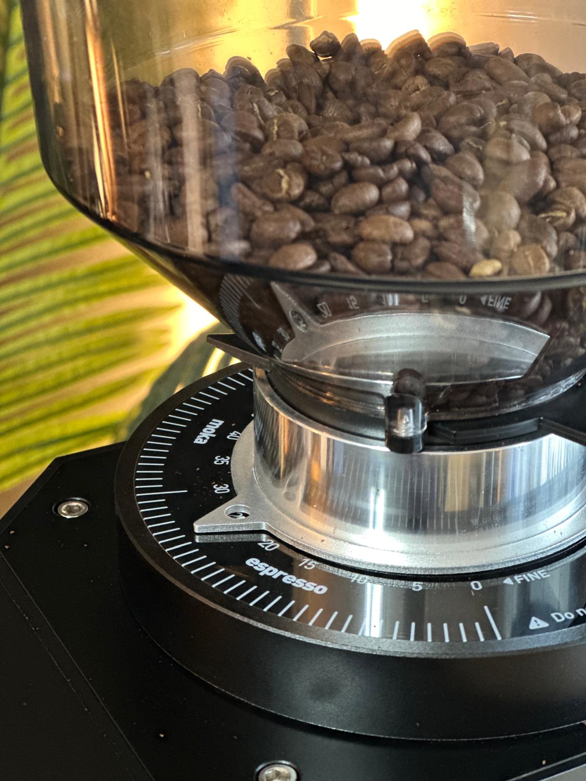 Turin ZF83 Commercial Espresso Grinder - Concordia Style Boutique
