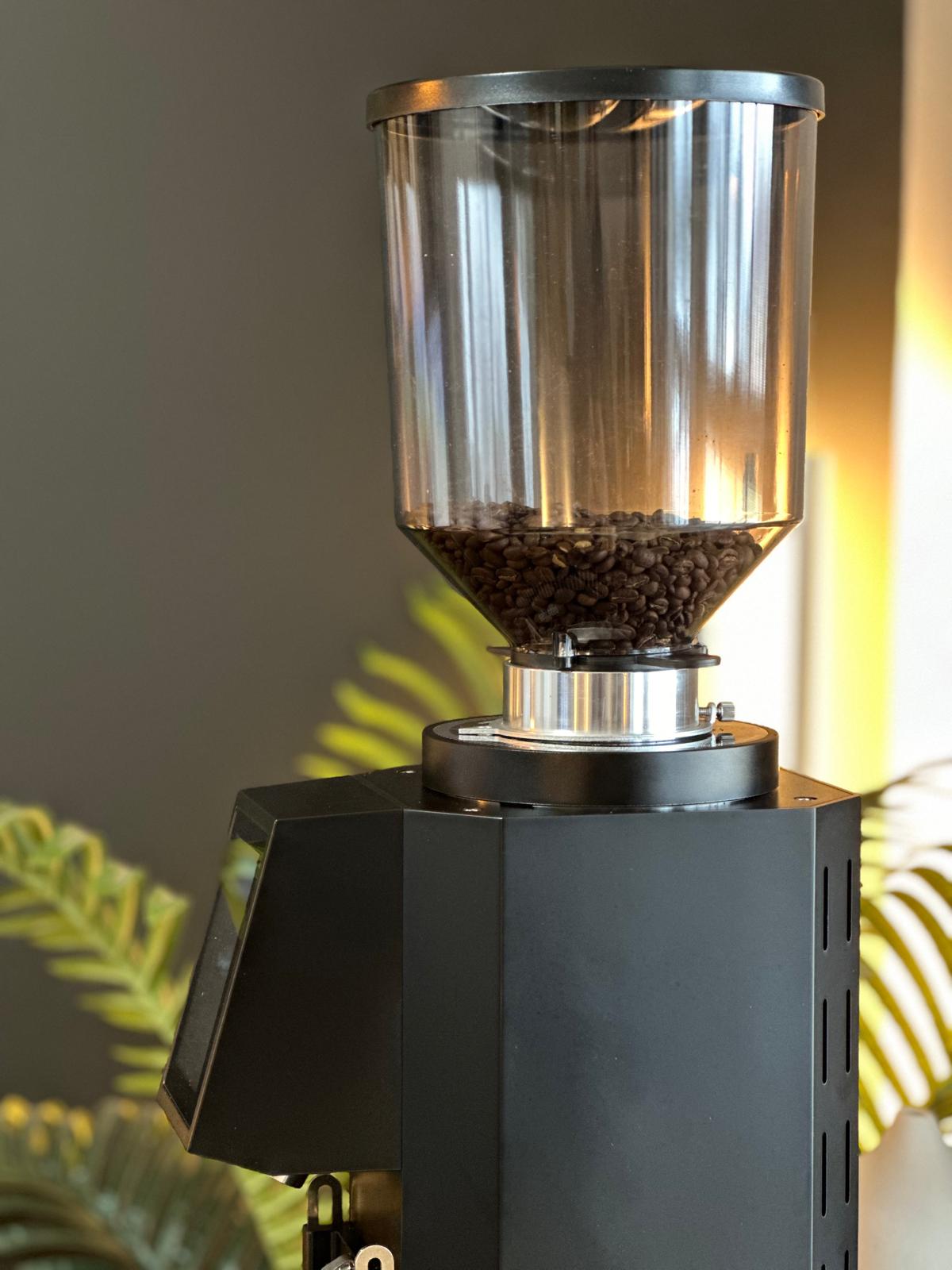 Turin ZF83 Commercial Espresso Grinder - Concordia Style Boutique