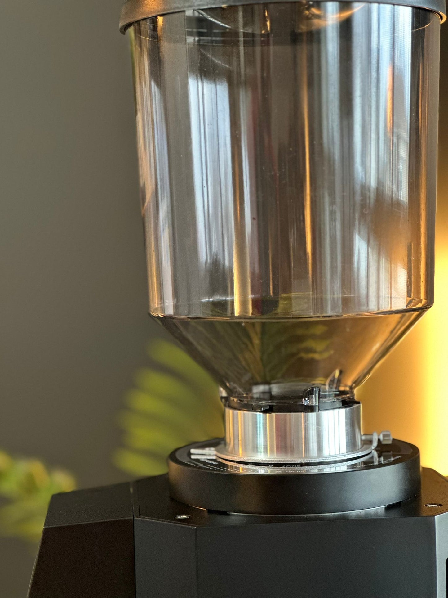 Turin ZF83 Commercial Espresso Grinder - Concordia Style Boutique