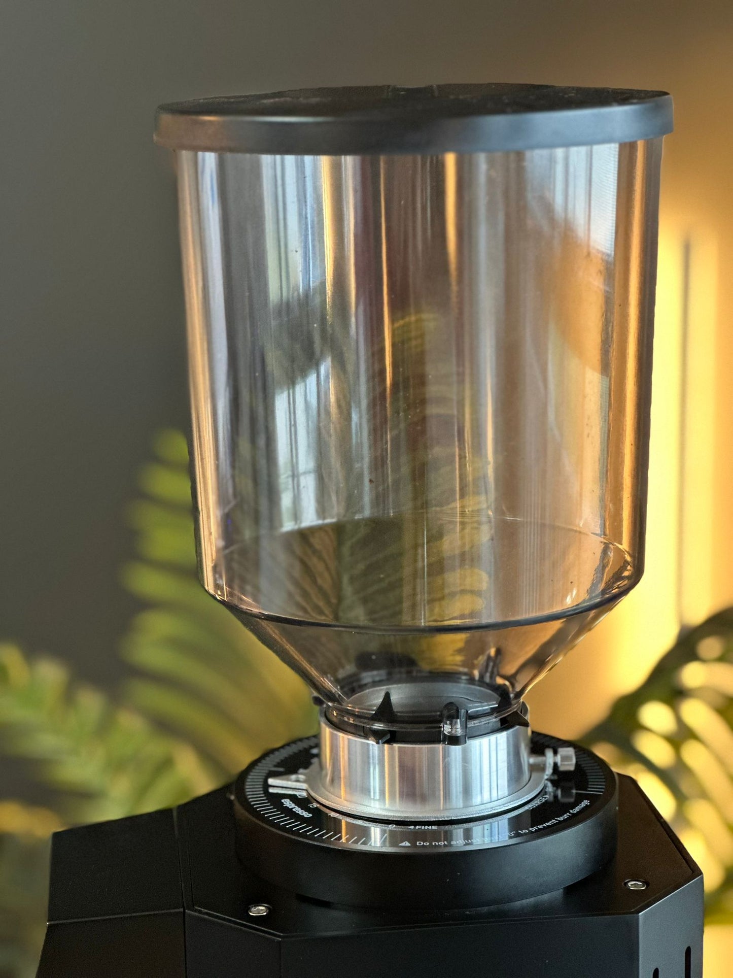 Turin ZF83 Commercial Espresso Grinder - Concordia Style Boutique