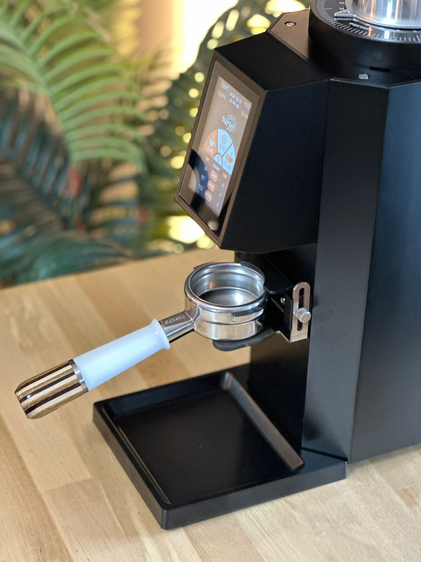 Turin ZF83 Commercial Espresso Grinder - Concordia Style Boutique