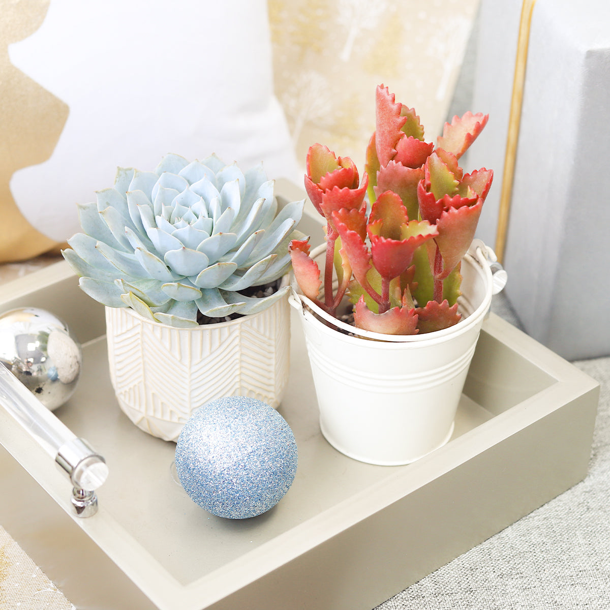 Whitcomb White Ceramic Pot