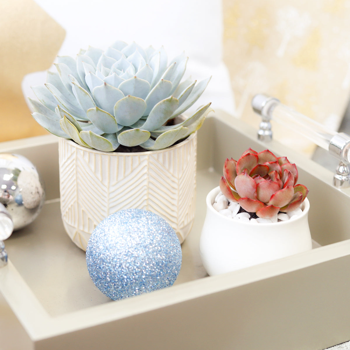 Whitcomb White Ceramic Pot