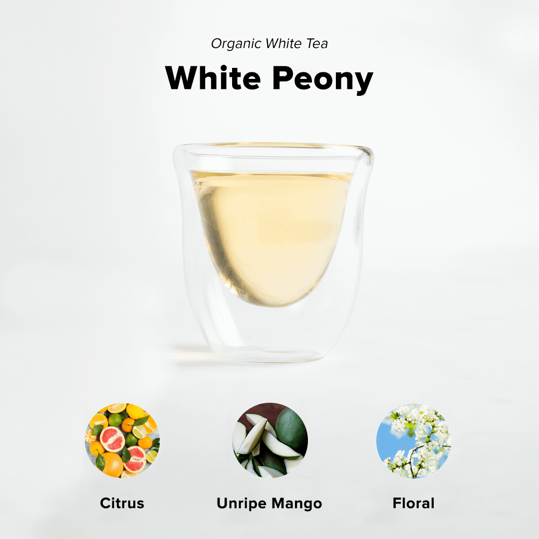 White Peony Tea - Concordia Style Boutique