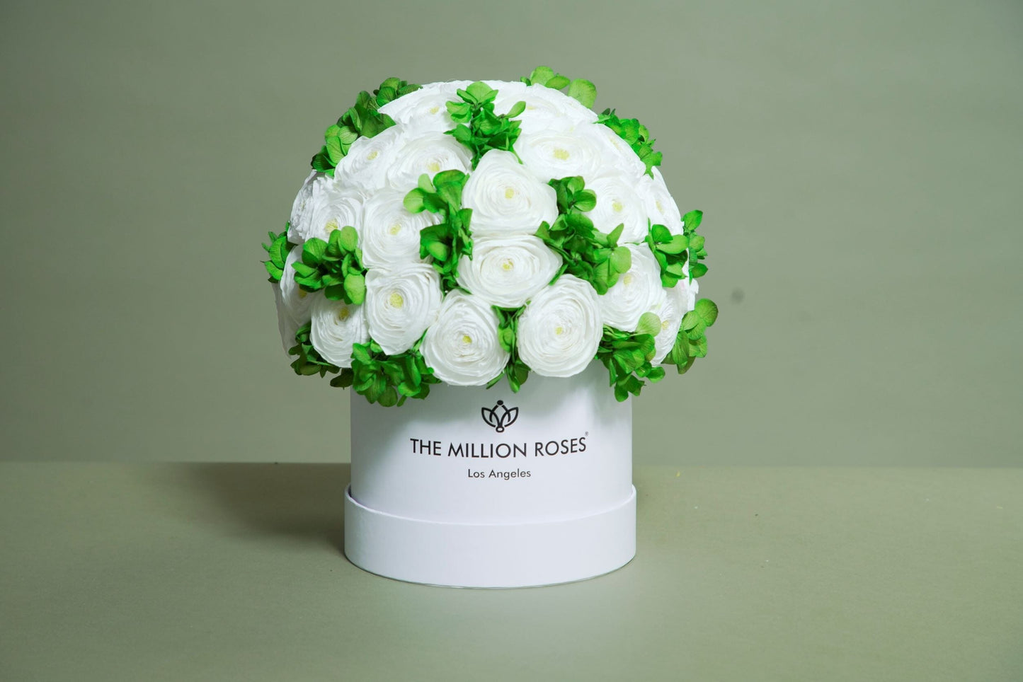 Classic White Box | White Persian Buttercups & Green Hydrangeas