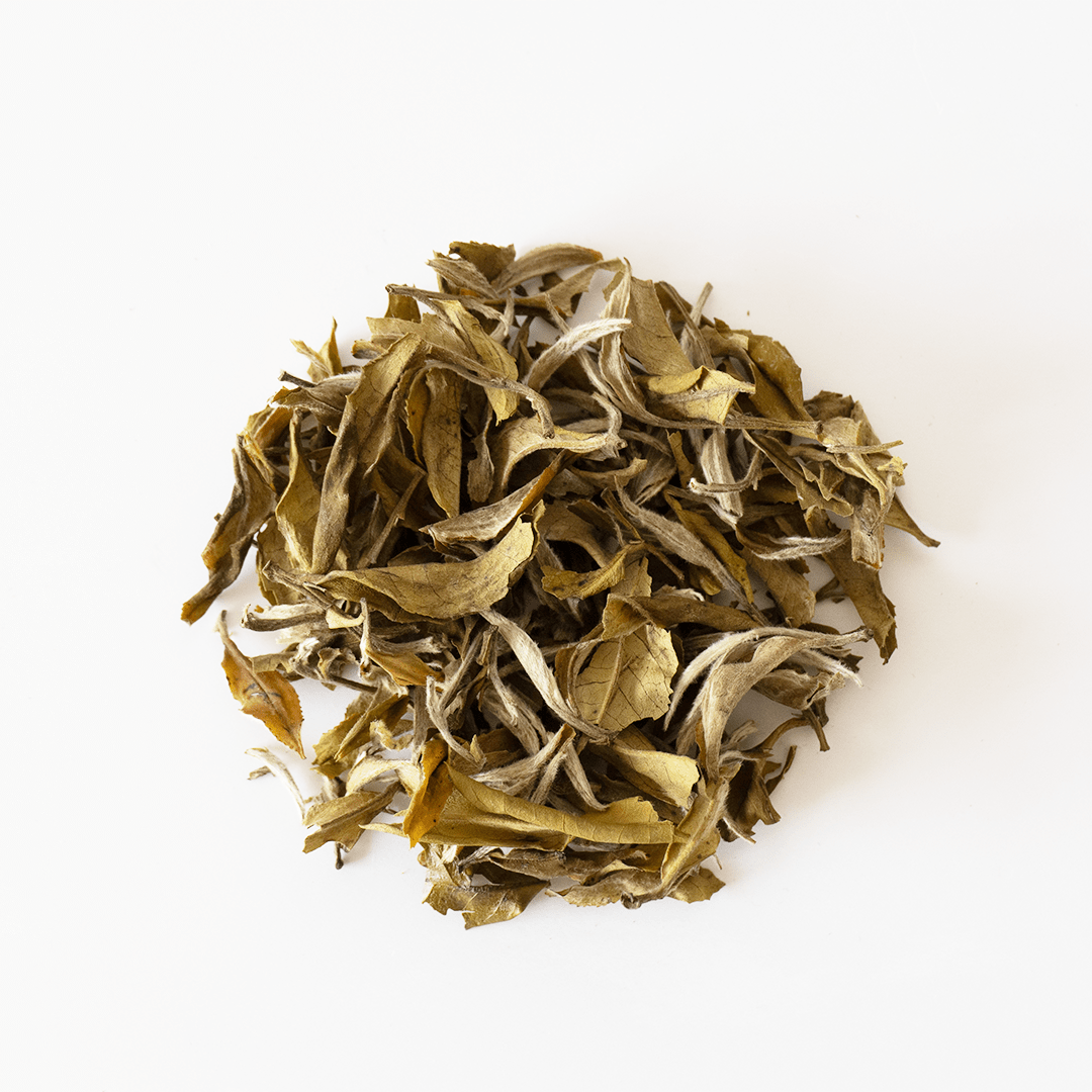 White Peony Tea - Concordia Style Boutique