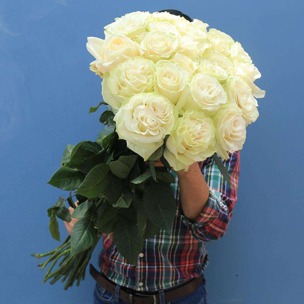 EXTRA LONG STEM ROSES