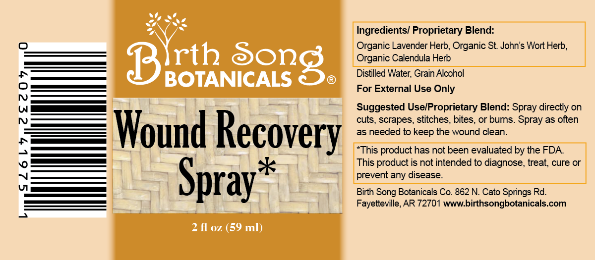 Herbal Wound Spray for First Aid - Concordia Style Boutique