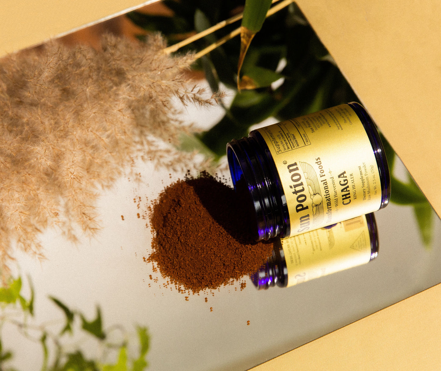 Chaga Mushroom Powder (Wildcrafted) - Concordia Style Boutique