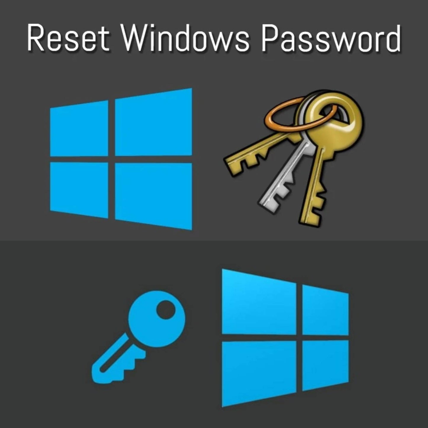 Windows/Linux Password Reset Cracker Bootable Live USB