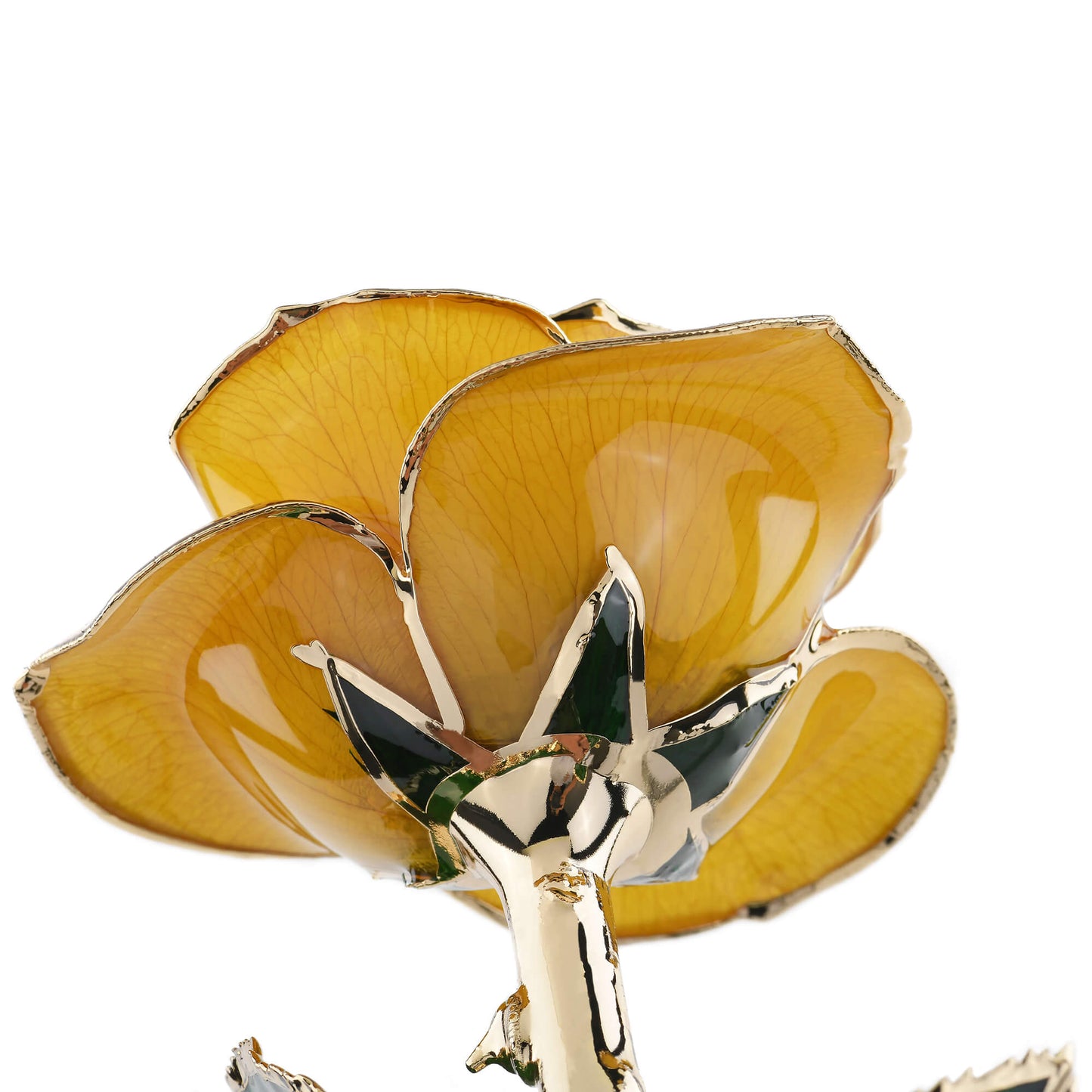 Timeless Rose (Yellow) - Concordia Style Boutique