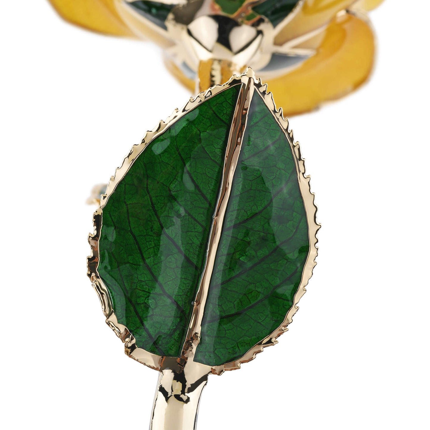 Timeless Rose (Yellow) - Concordia Style Boutique